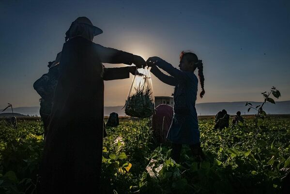 1062344649 1200 803 600X0 80 1 A9F71C00A063Cf0C2761Fd8Fbd48619E