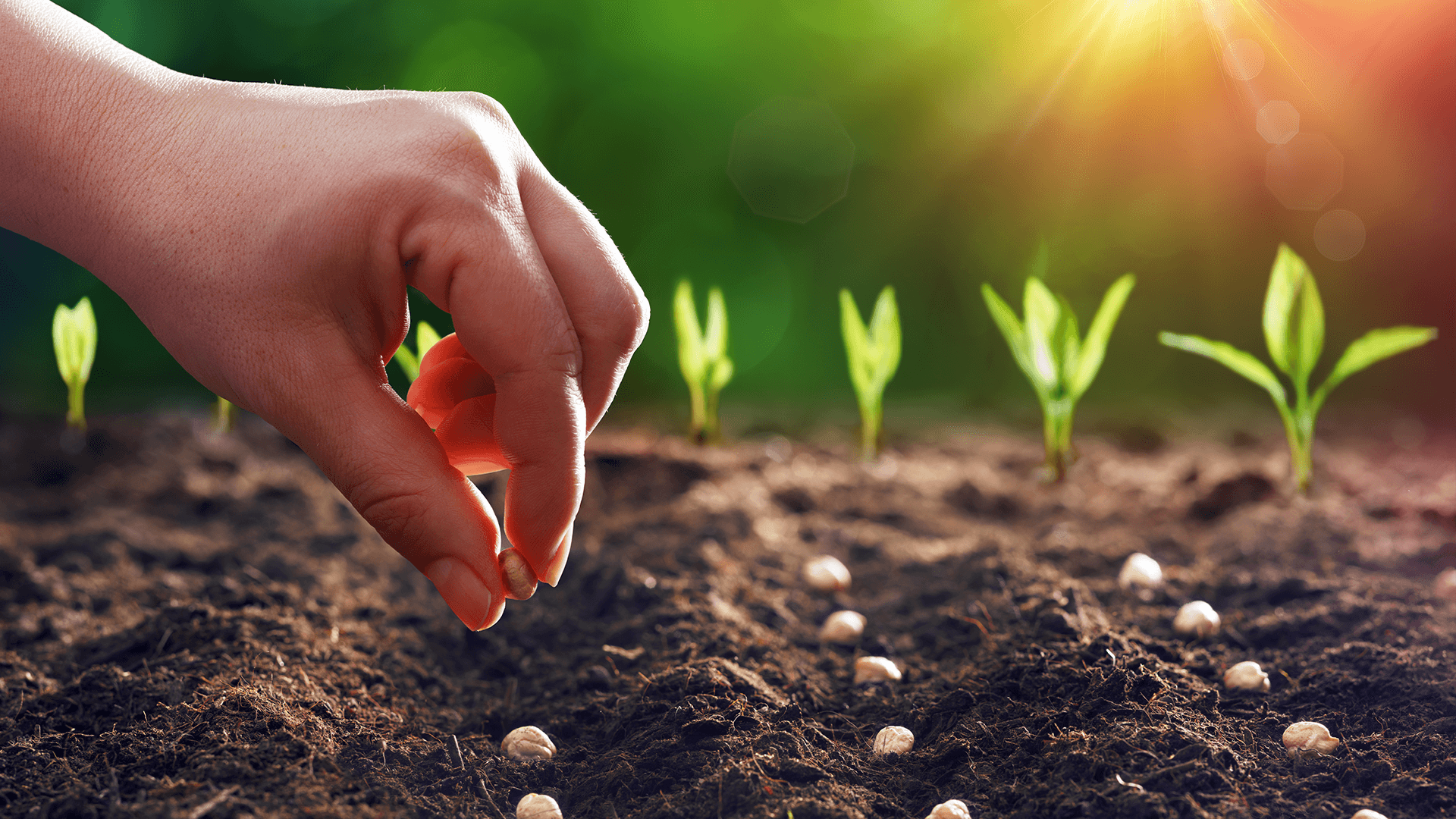 Dünya Tarımına Ağır Fatura