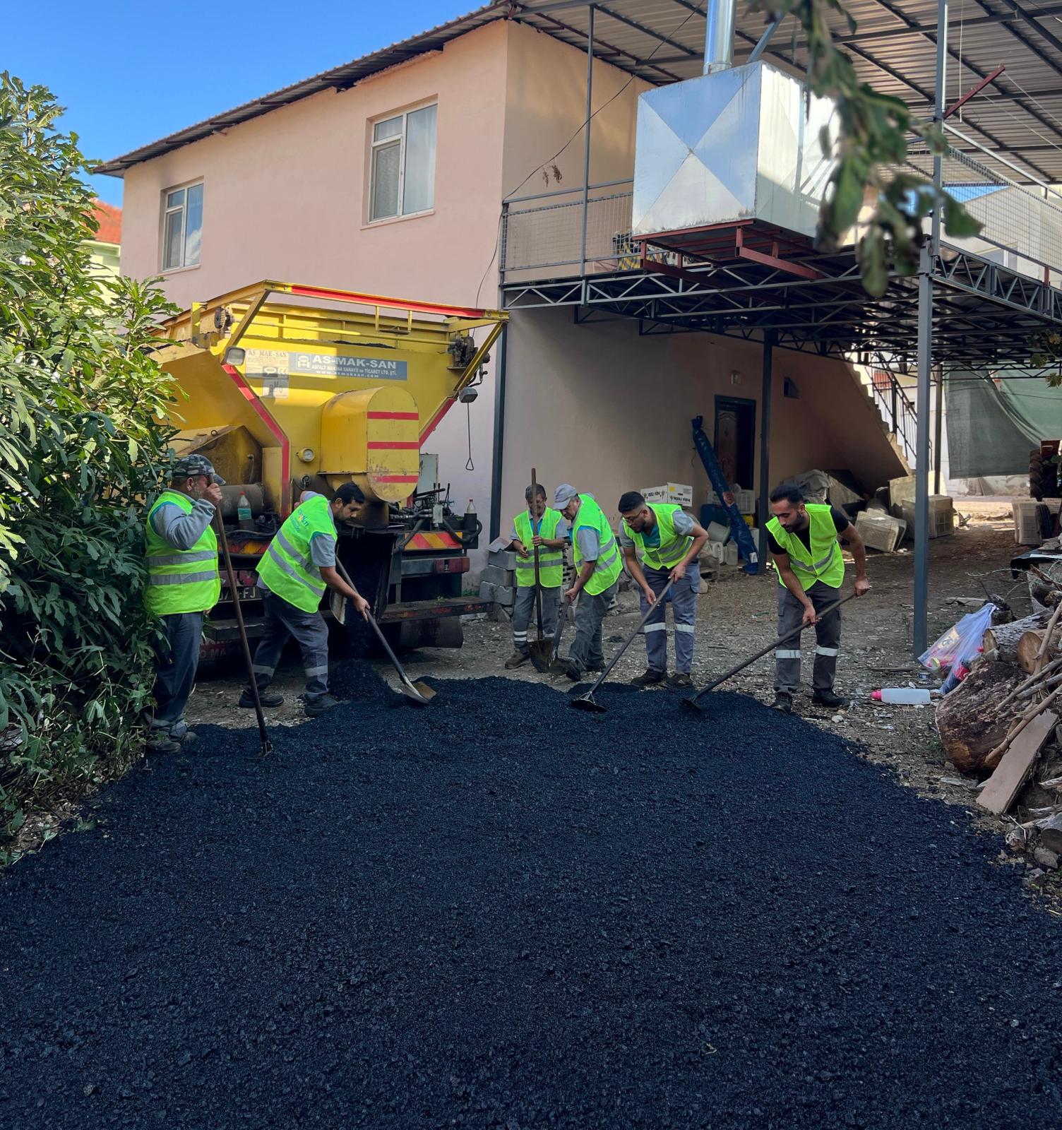 I M G 20251117 W A0050