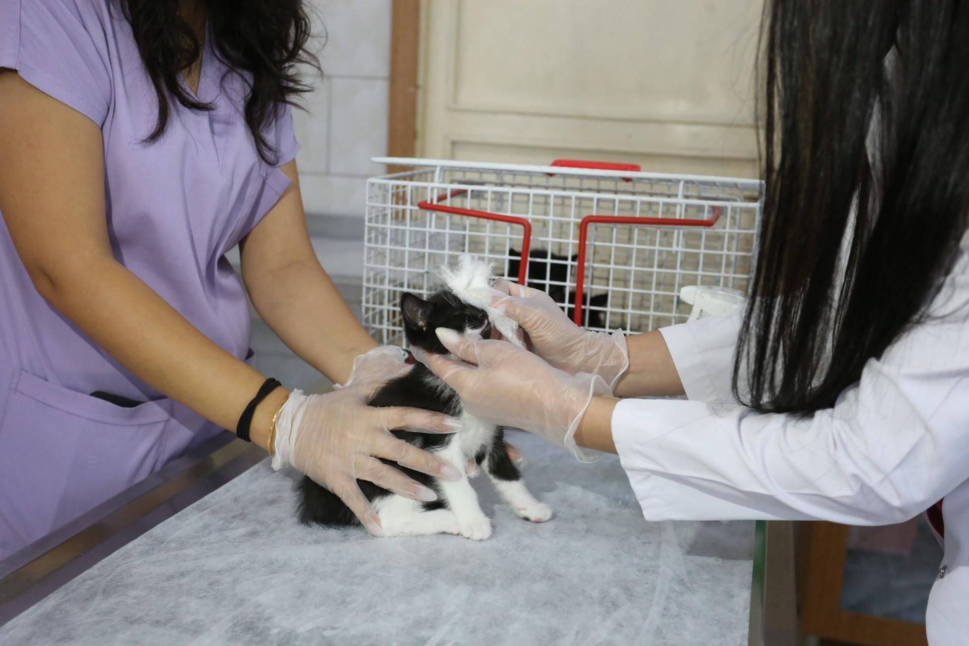 Whatsapp Image 2025 12 28 At 13.44.30