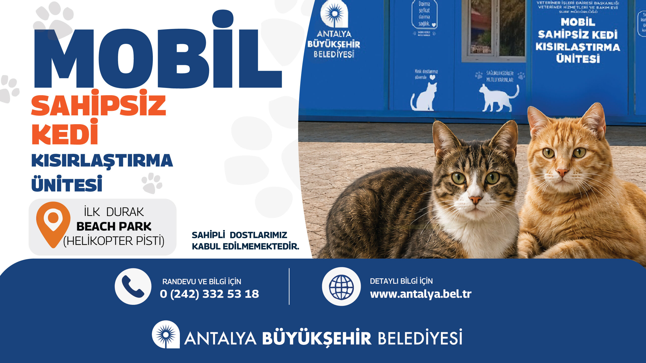 Kedi Banner 1920X1080