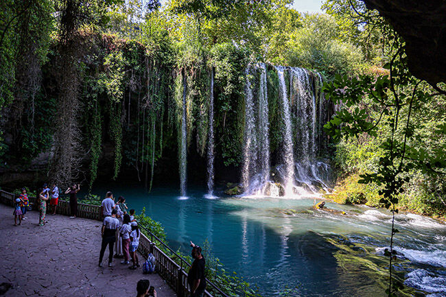 A W745017 06