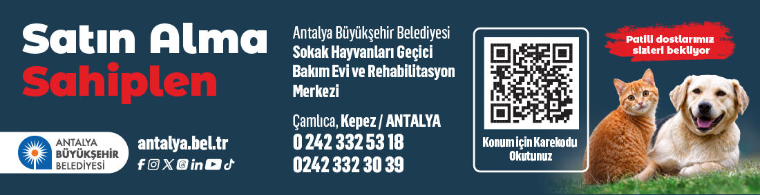 Sokak Hayvanlari Satinalma Sahiplen Web Bannerlar 12