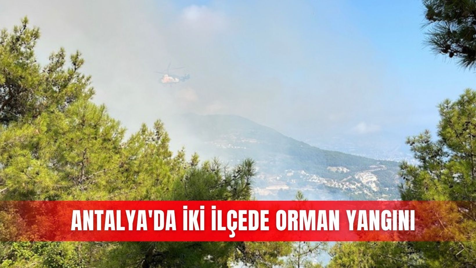İlçeler