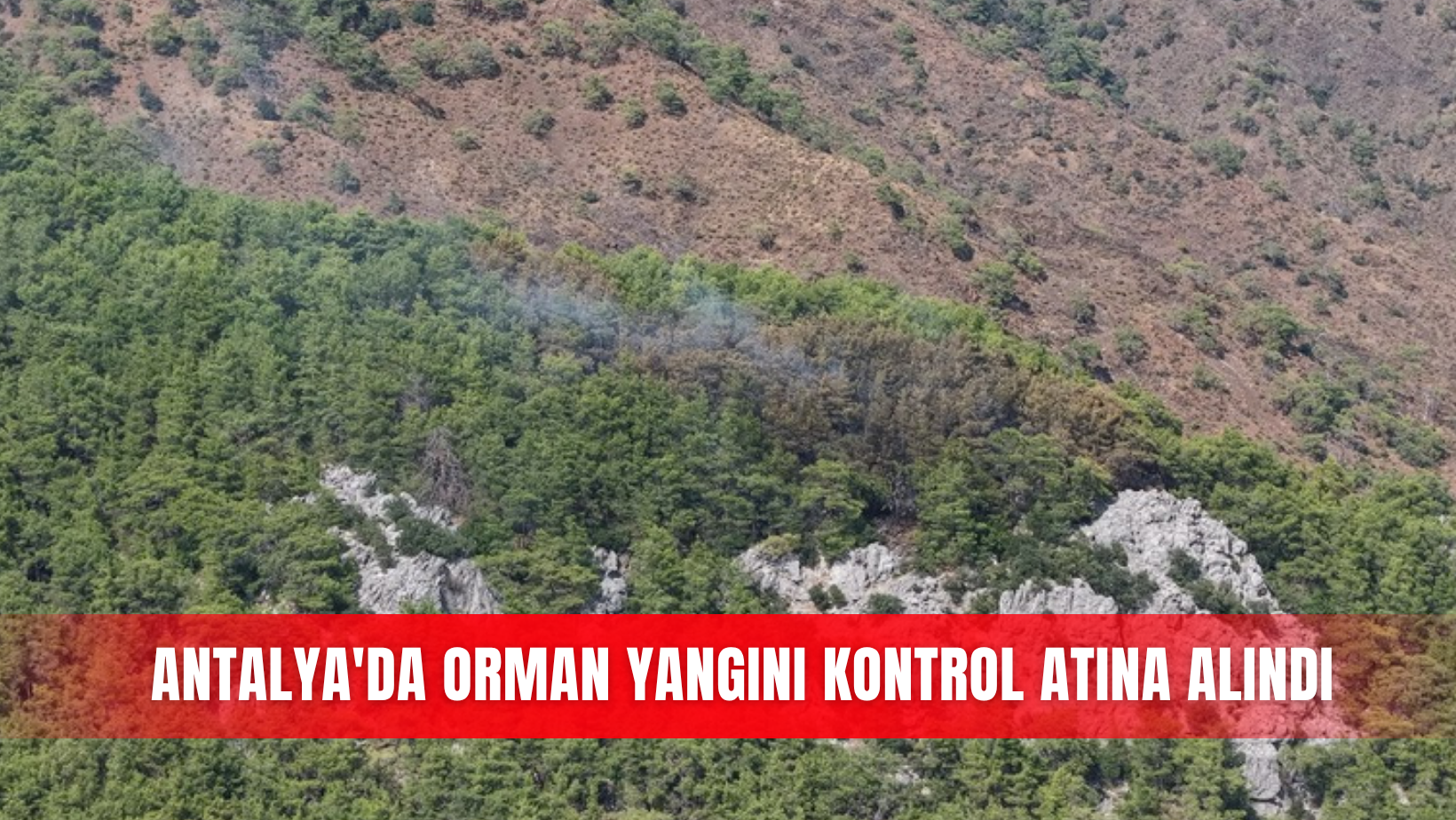 İlçeler