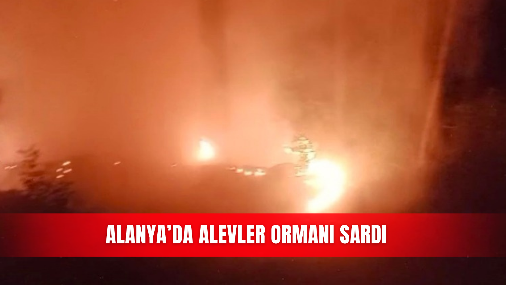 İlçeler