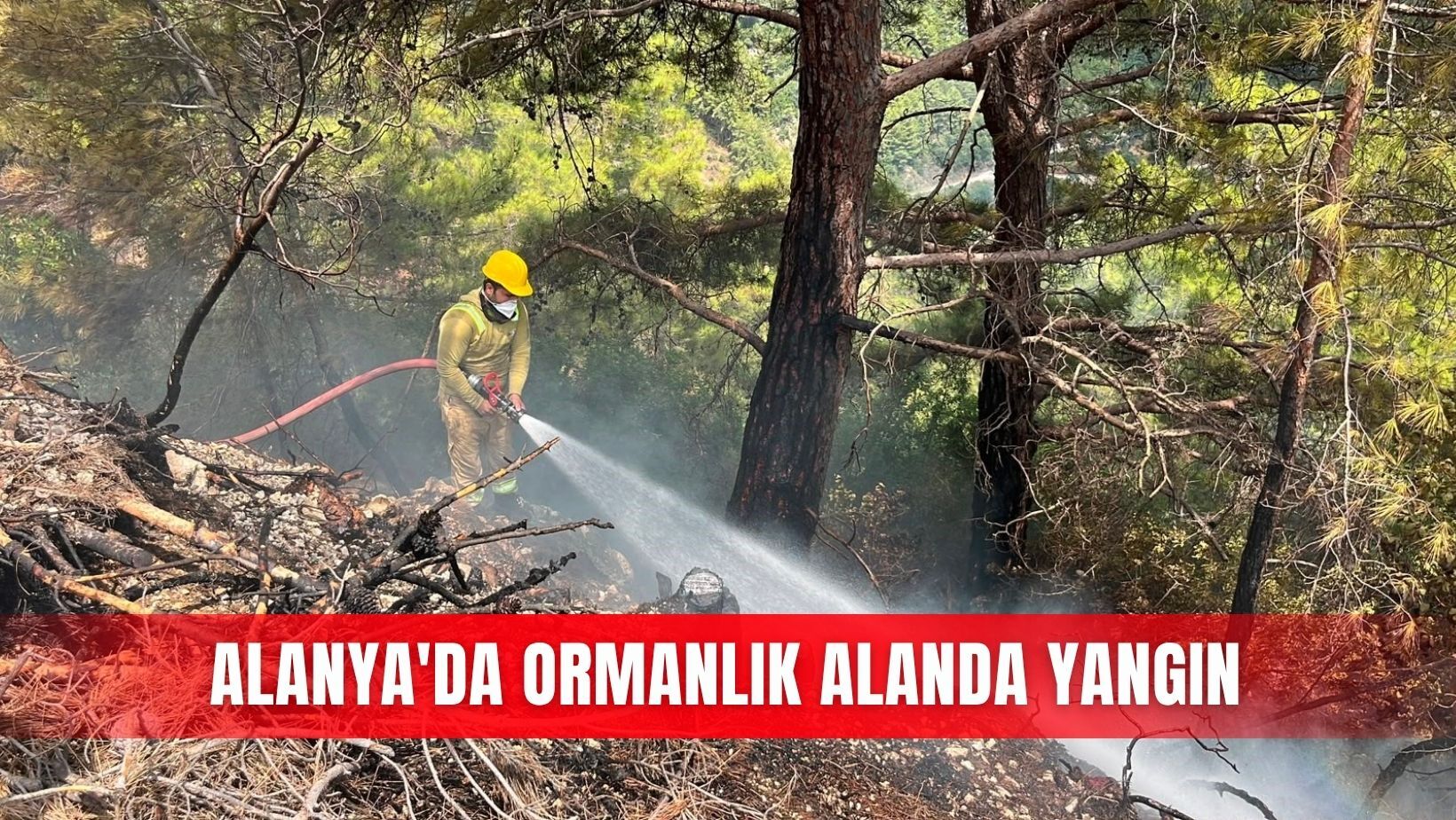 Asayiş