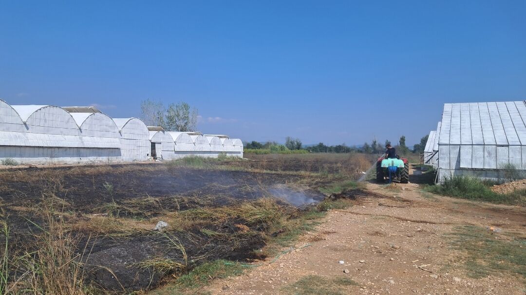 Asayiş