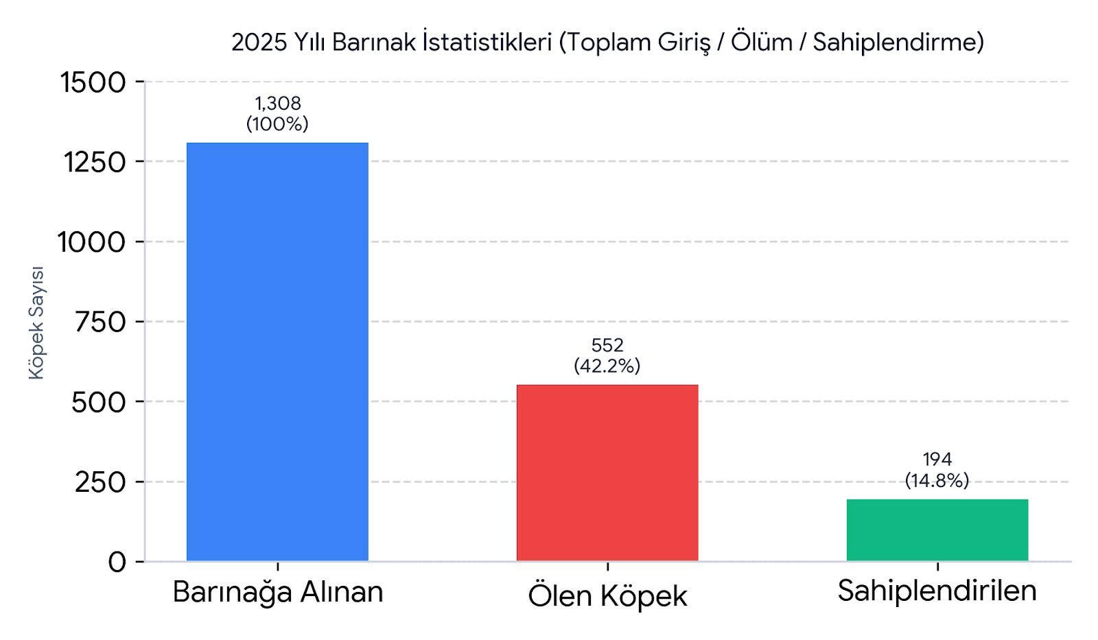 Sokak Hayvanları Raporu (4)