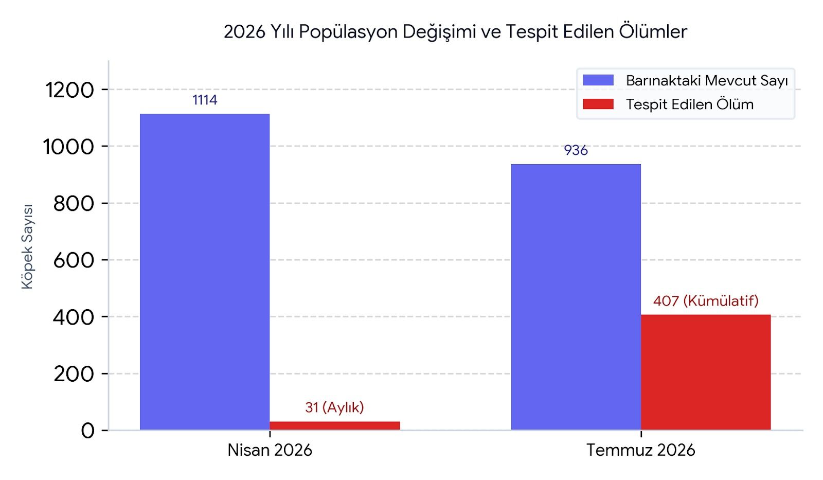 Sokak Hayvanları Raporu (5)