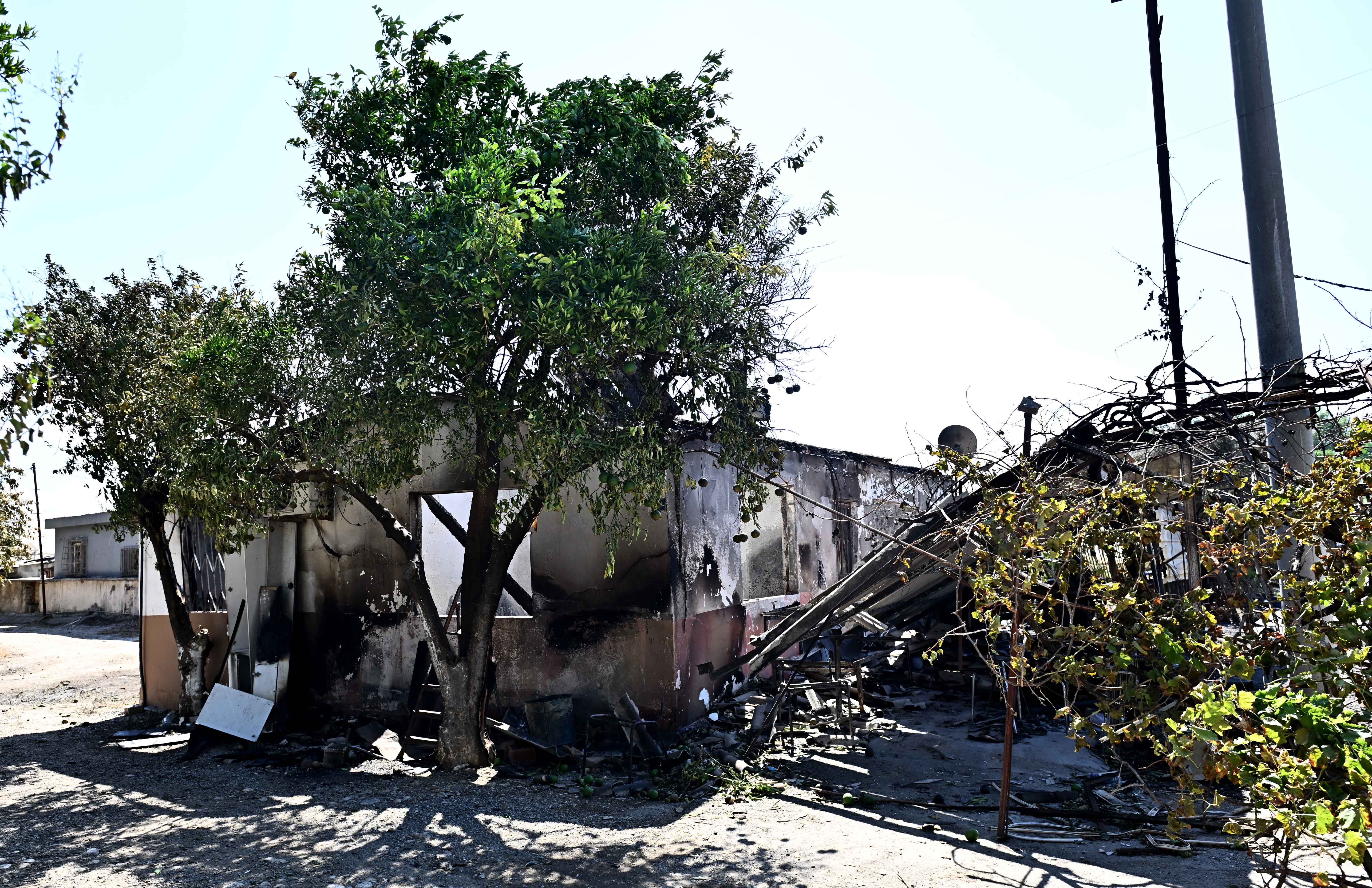 Uysal Yangın Alanında (3)