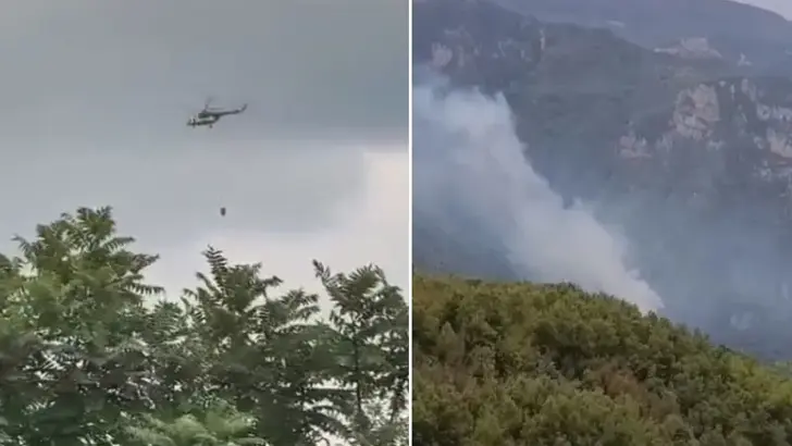Hatay'da orman yangını
