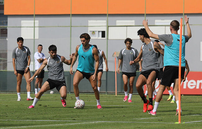 Spor