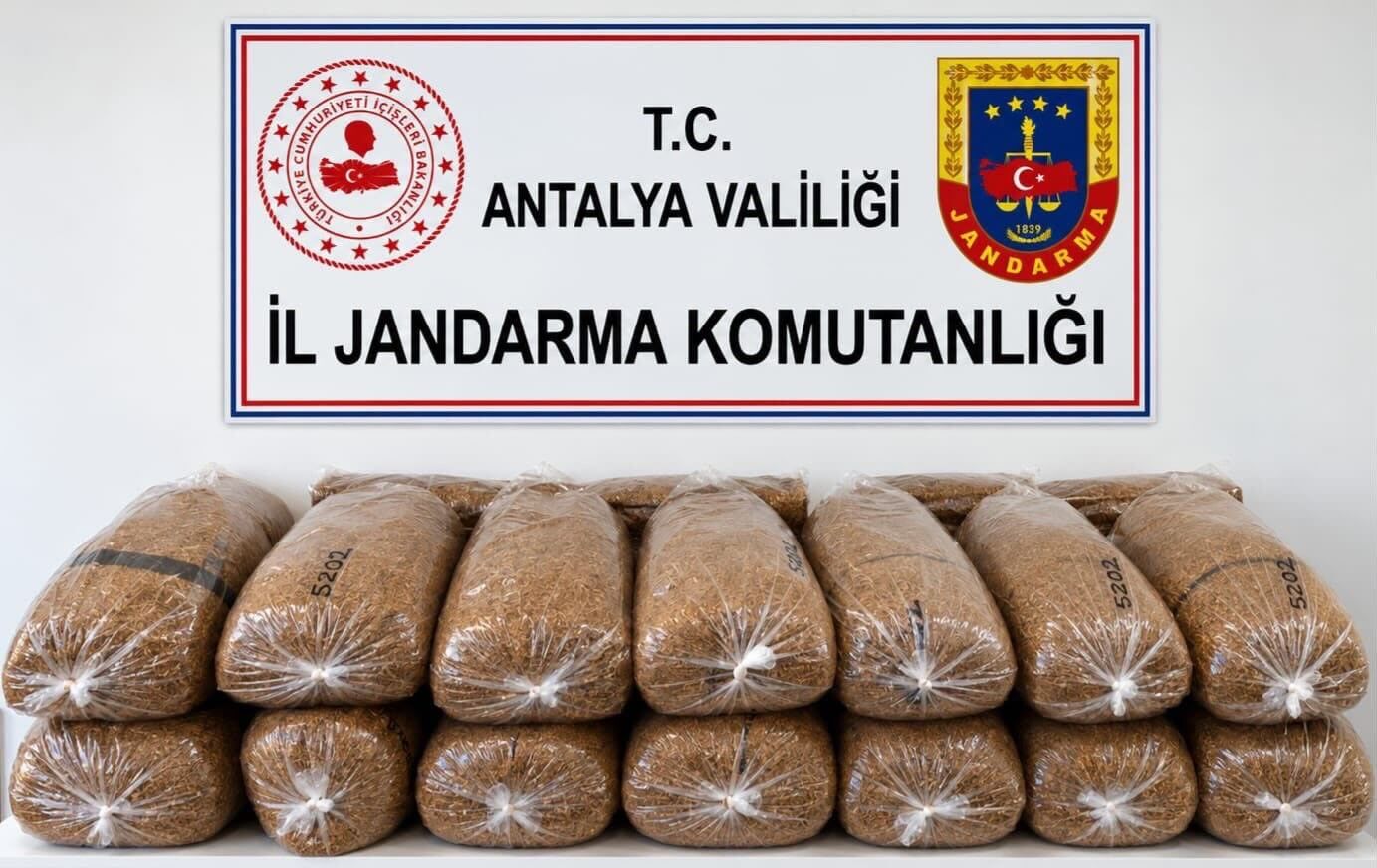 İlçeler