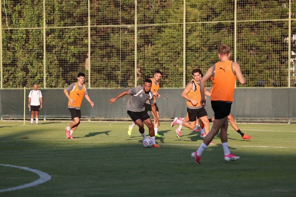 Spor
