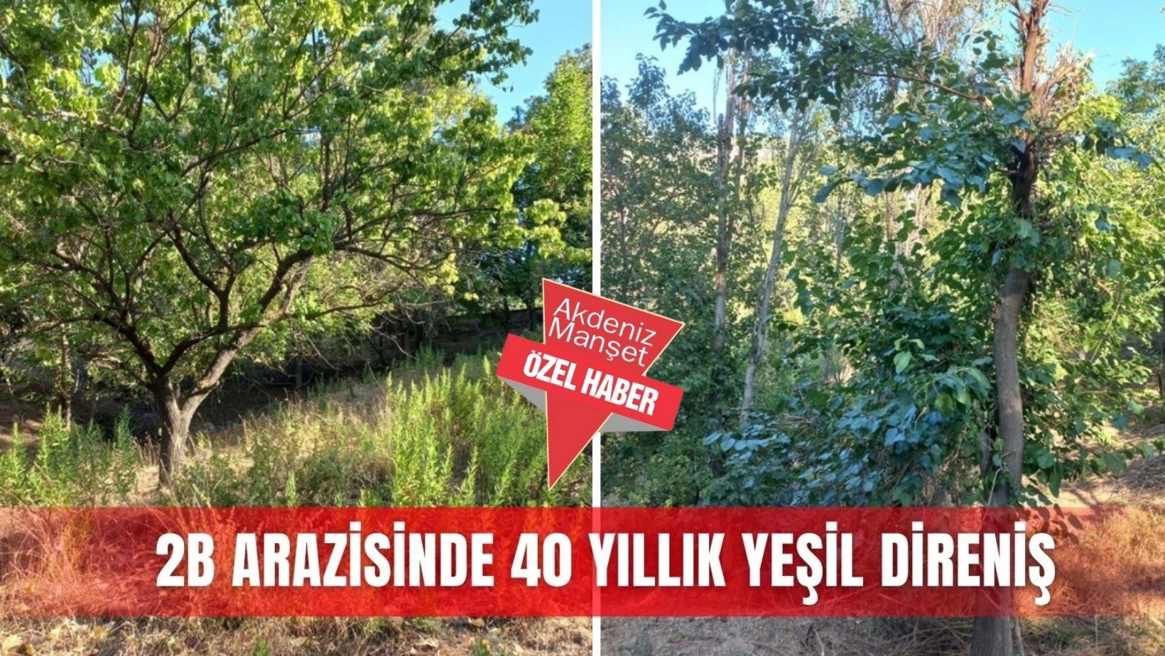 Özel