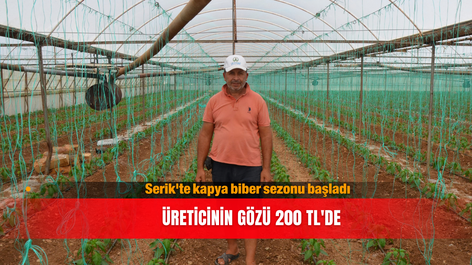 Serik'te kapya biber sezonu başladı: Üreticinin gözü 200 TL'de