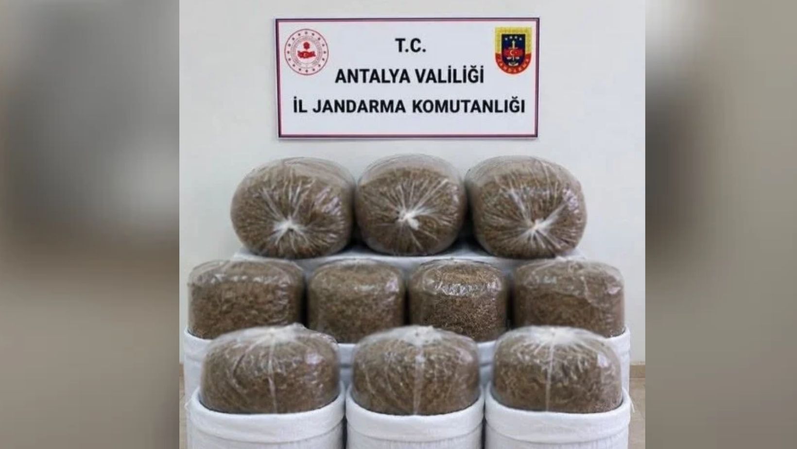 Asayiş