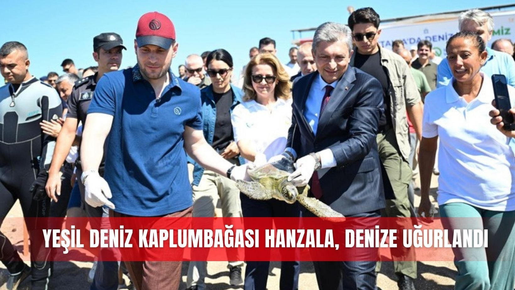 Yeşil deniz kaplumbağası Hanzala, denize uğurlandı