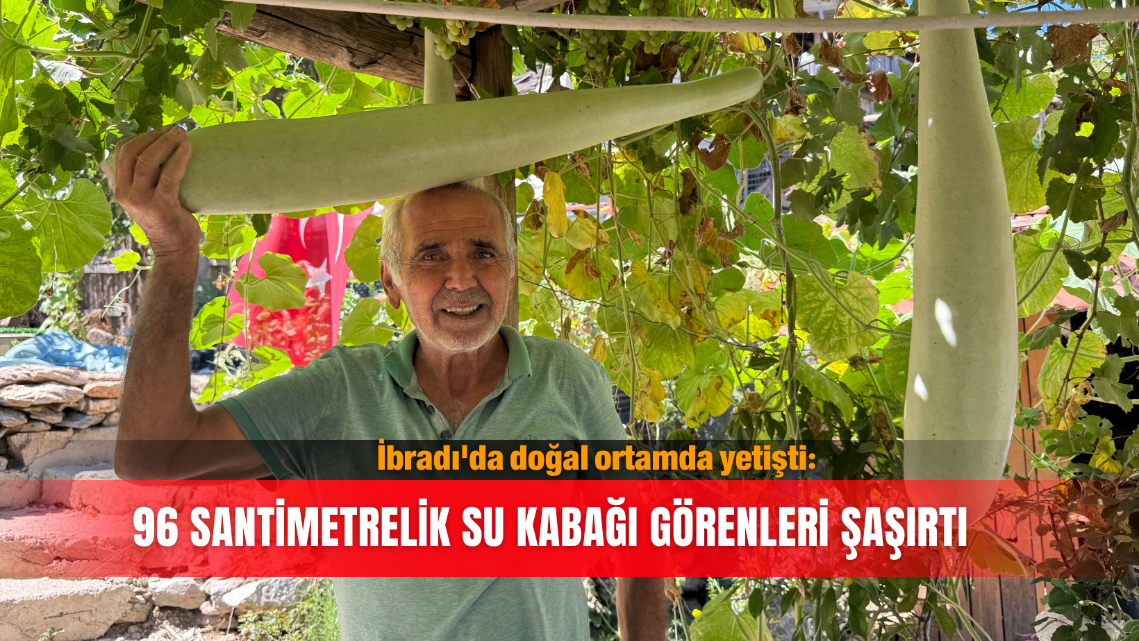İbradı'da doğal ortamda yetişti: 96 santimetrelik su kabağı görenleri şaşırtı