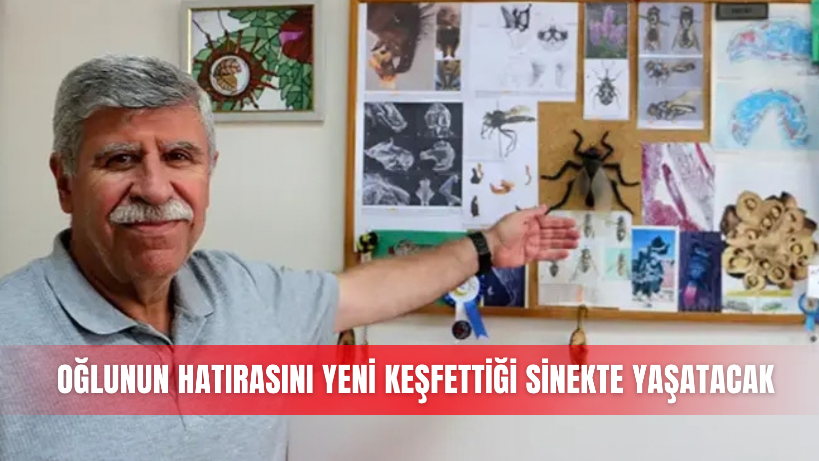 Oğlunun hatırasını yeni keşfettiği sinekte yaşatacak