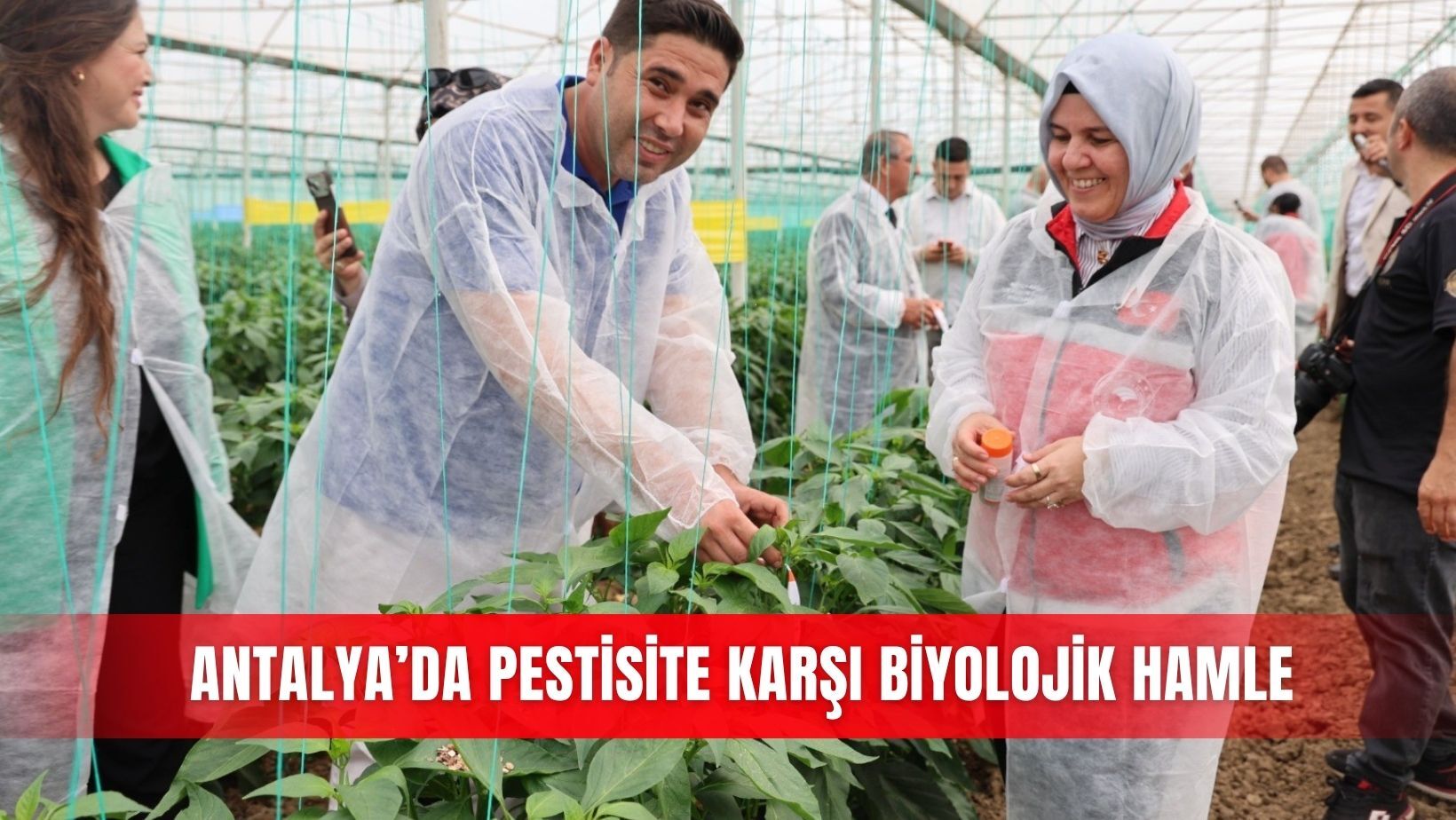 Antalya’da pestisite karşı biyolojik hamle