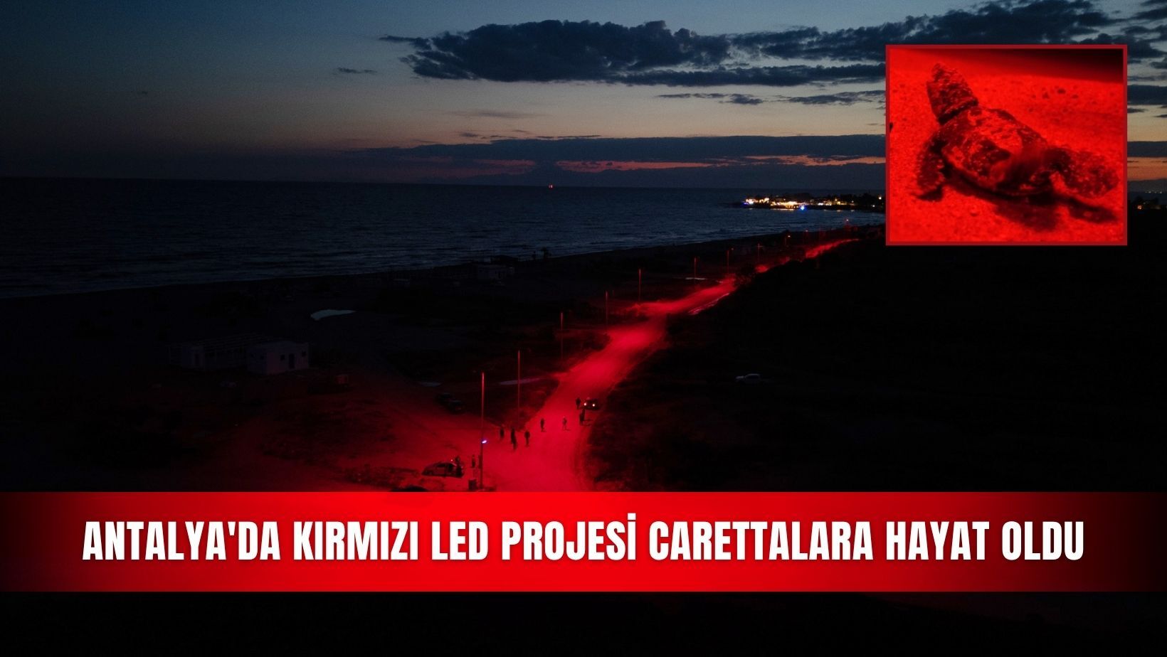 Antalya'da kırmızı LED projesi carettalara hayat oldu