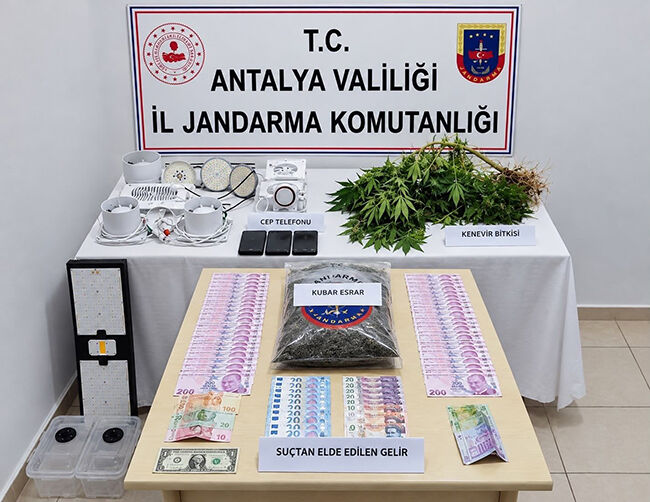 Asayiş