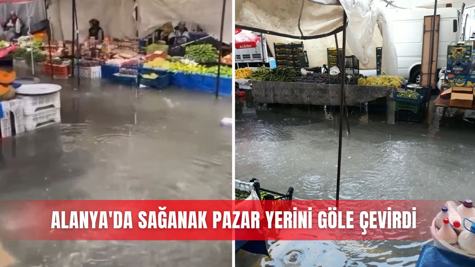 İlçeler
