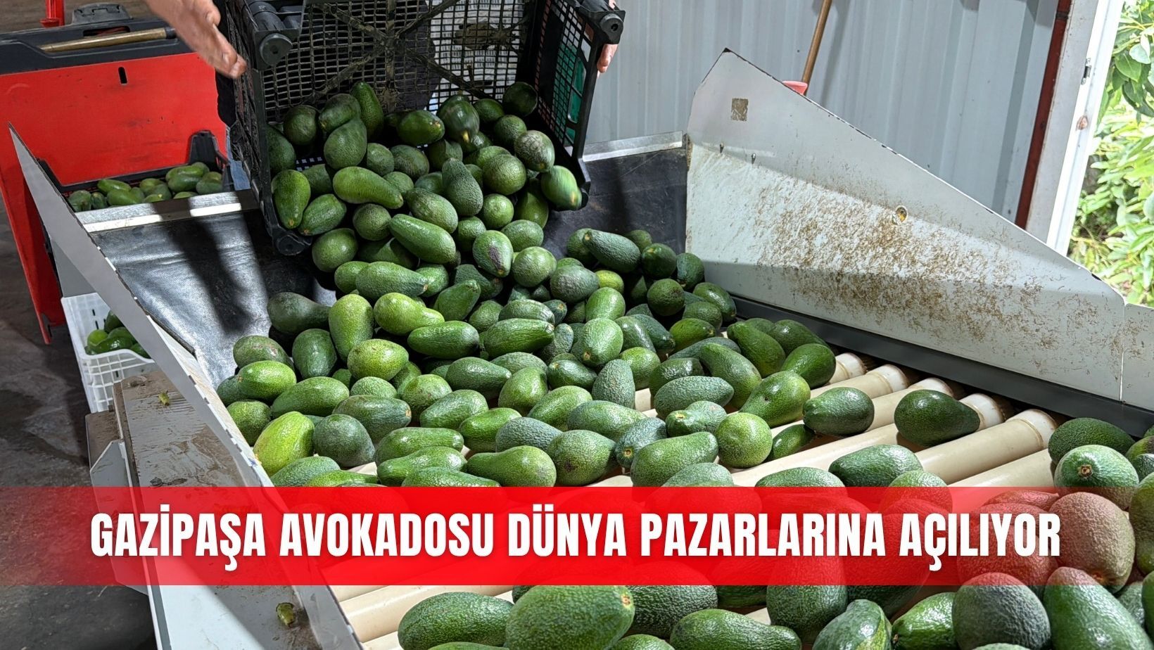 İlçeler