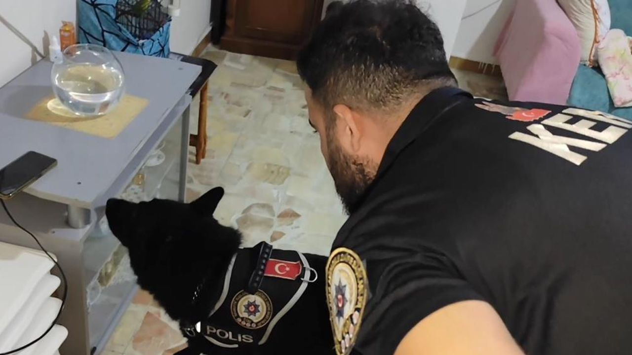 'Narko Kapan' operasyonu ile 351 şüpheli tutuklandı