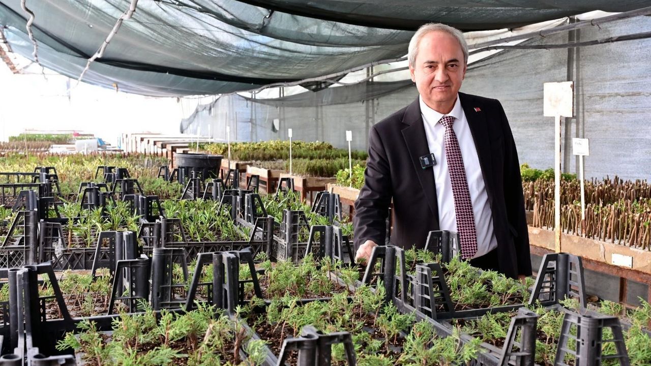 Kepez’den iklime dirençli bitkiler