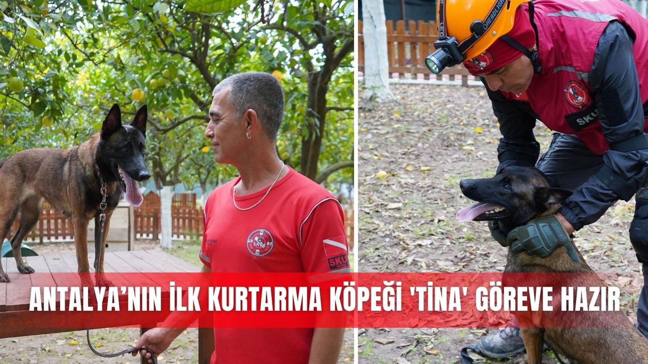 Antalya’nın ilk kurtarma köpeği 'Tina' göreve hazır