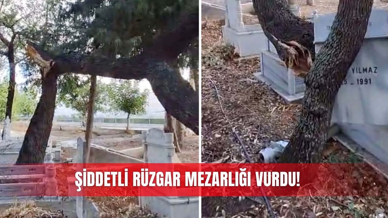 Şiddetli rüzgar mezarlığı vurdu!