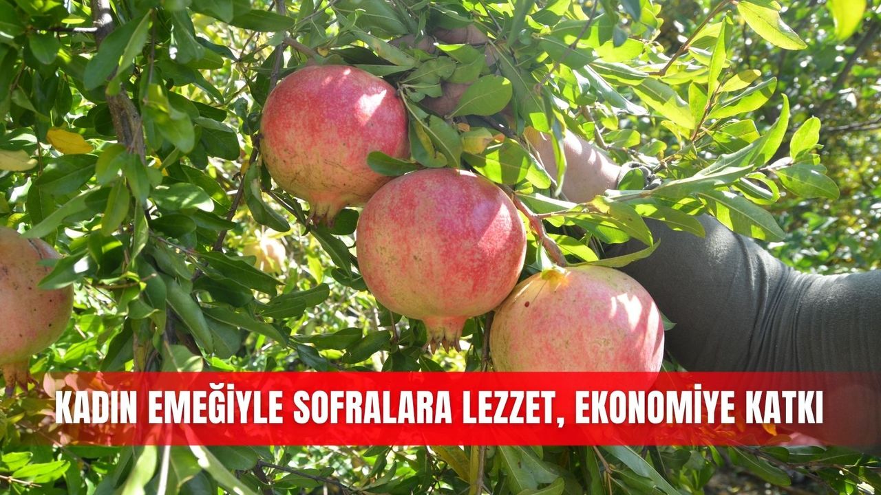 Kadın emeğiyle sofralara lezzet, ekonomiye katkı
