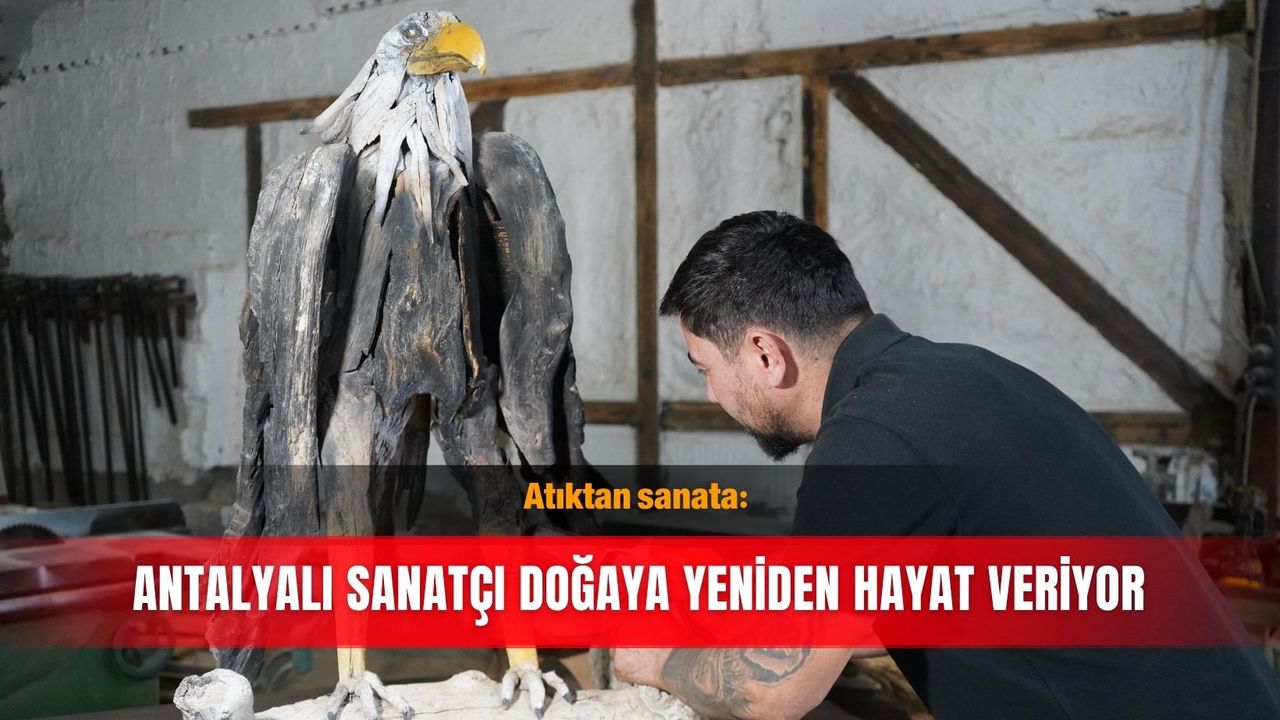 Atıktan sanata: Antalyalı sanatçı doğaya yeniden hayat veriyor