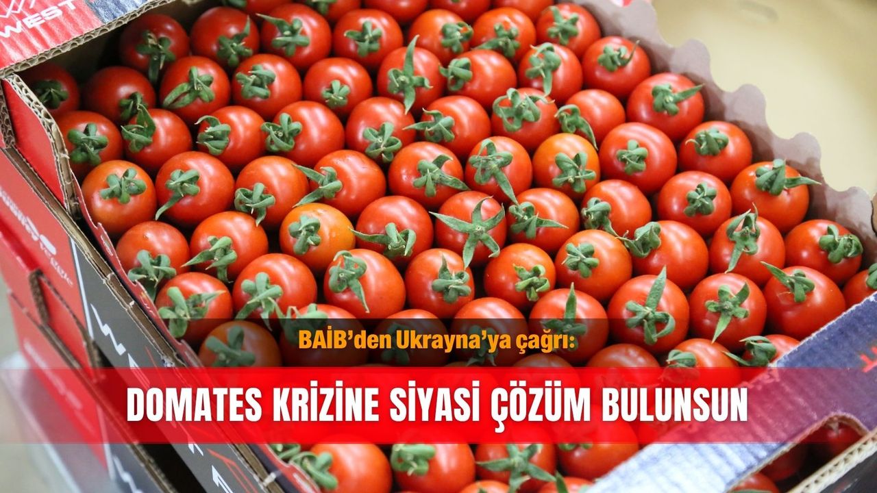 BAİB’den Ukrayna’ya çağrı: Domates krizine siyasi çözüm bulunsun