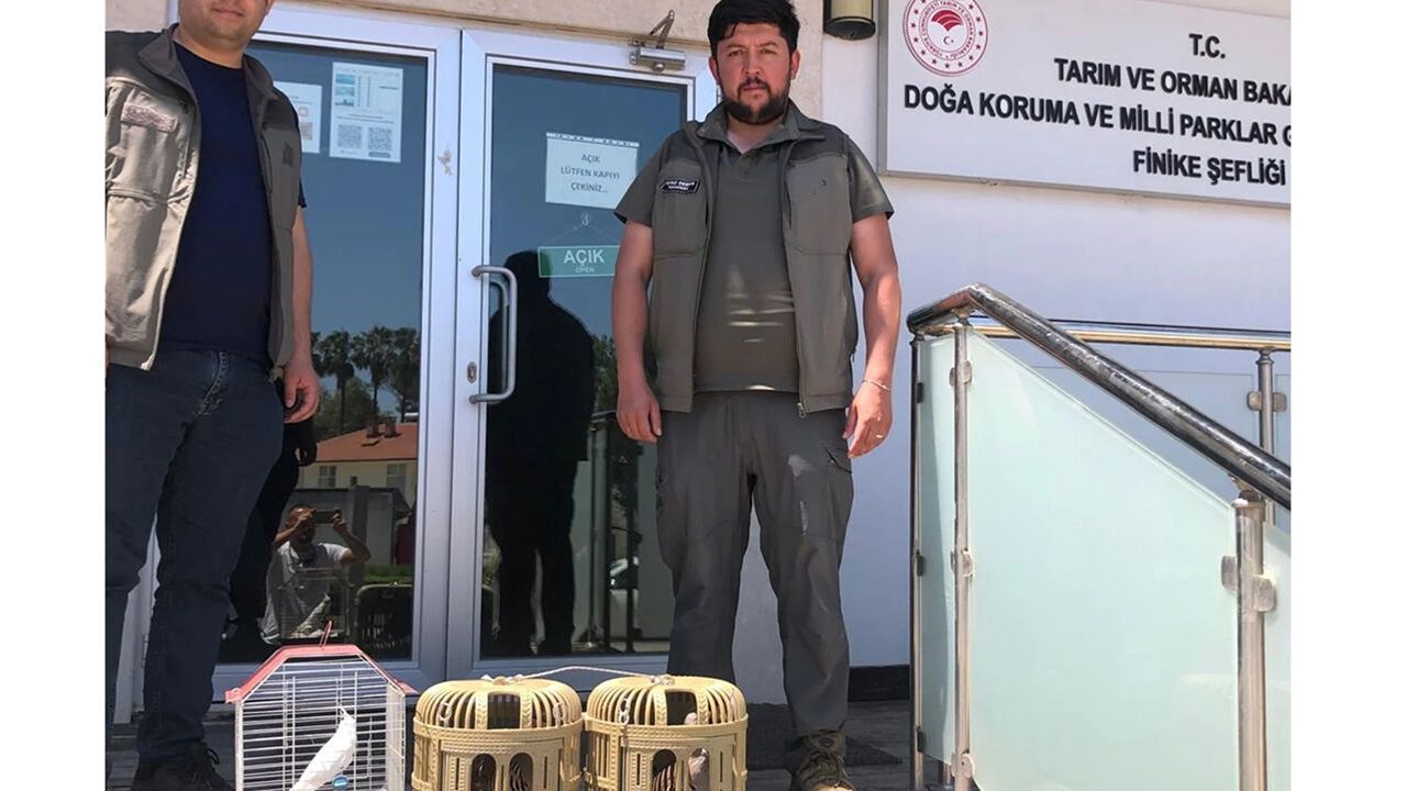 Kuş denetiminde kafeslerdeki keklik ve papağanlara