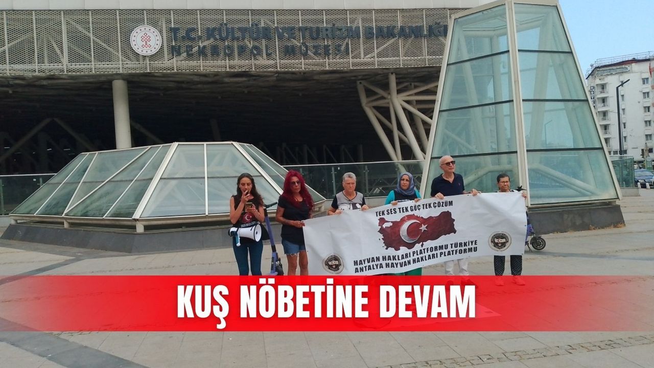 Kuş nöbetine devam