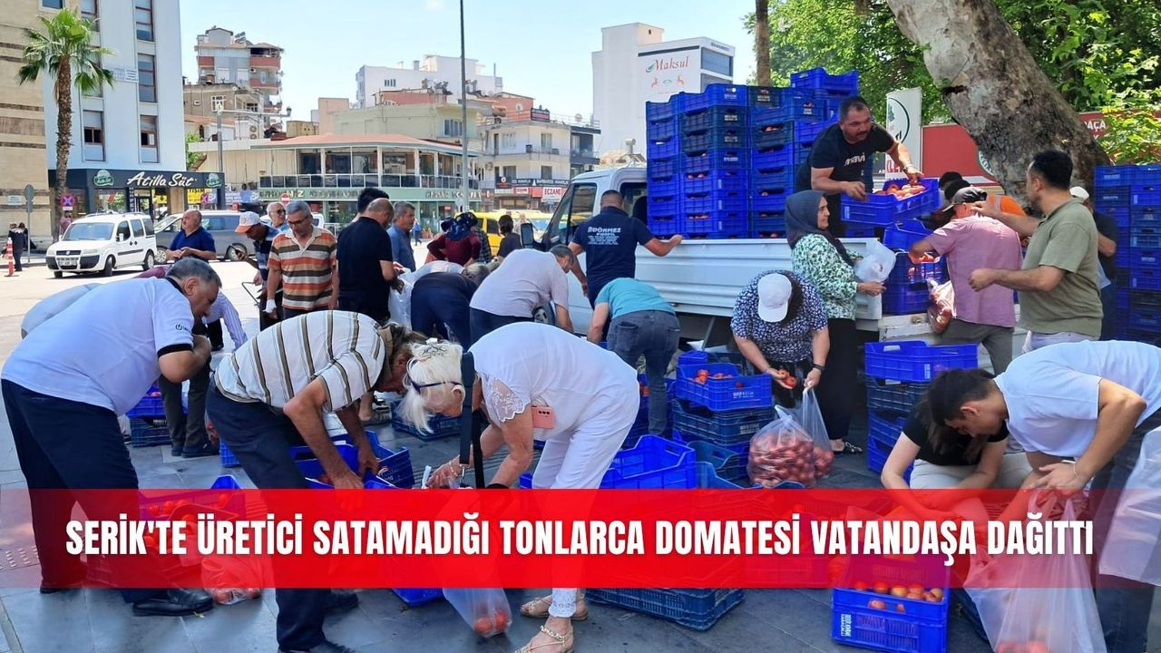 Serik'te üretici satamadığı tonlarca domatesi vata