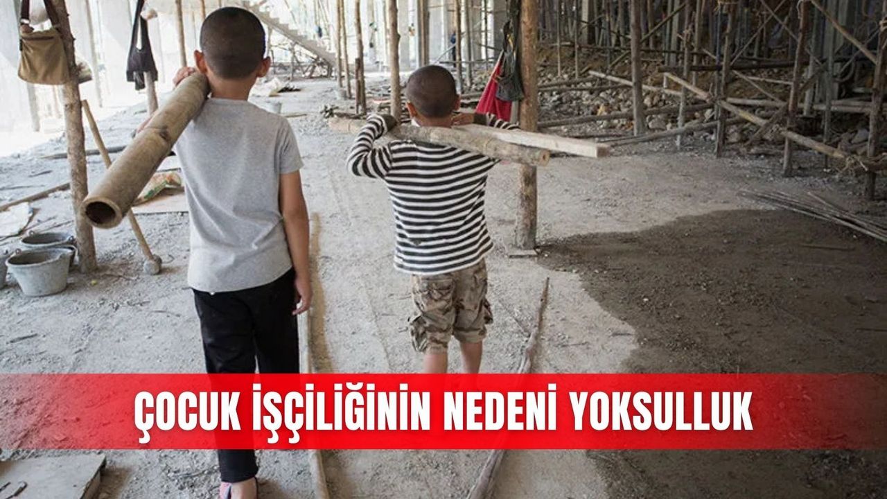Çocuk işçiliğinin nedeni yoksulluk