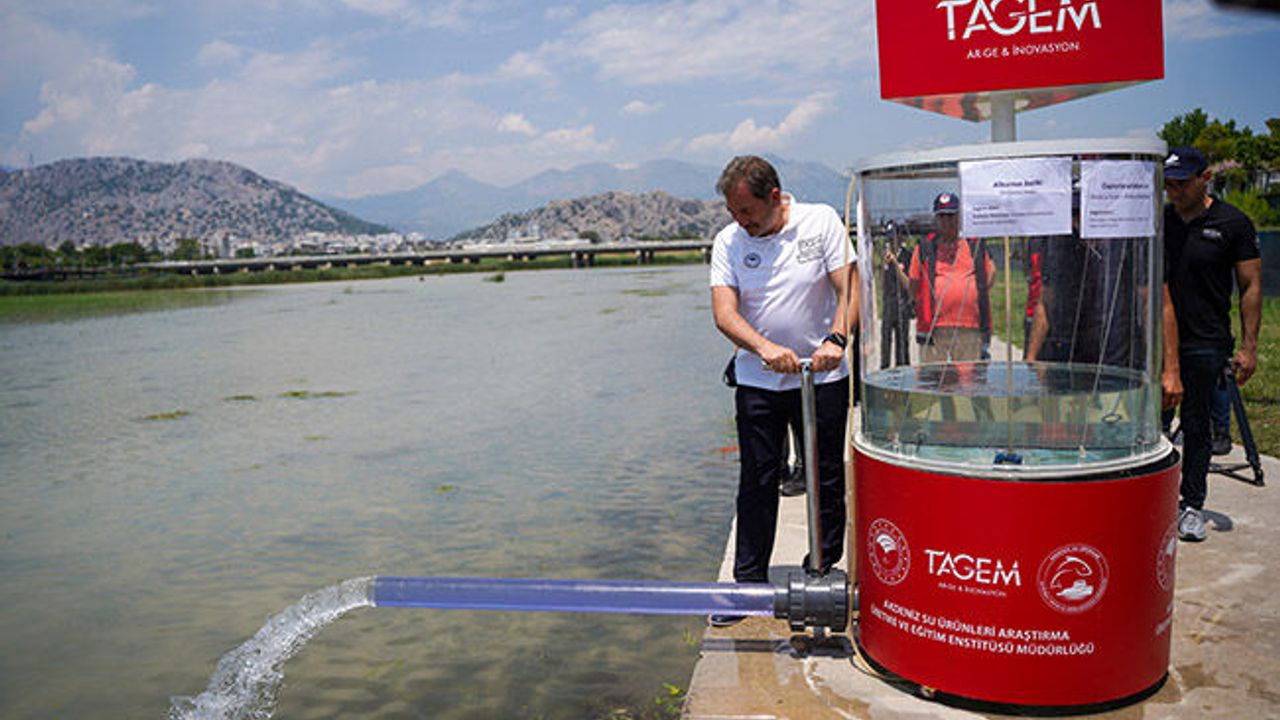Nesli tükenme tehlikesinde olan türler Boğaçayı su
