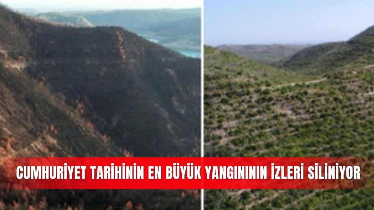 Cumhuriyet tarihinin en büyük yangınının izleri siliniyor