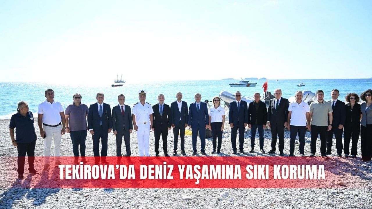 Tekirova Sahili'nde deniz yaşamını koruma çalışmaları başladı