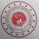 'Binaların Yıkılması Hakkında Yönetmelik'te değişiklik yapıldı