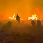 ABD'nin Nevada eyaletindeki orman yangınında 42 bin kişiye tahliye emri verildi