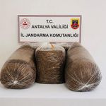 Antalya'da kaçak tütün operasyonu