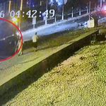 Antalya'da kahreden tesadüf
