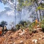 Kemer'de orman yangını: havadan ve karadan müdahale sürüyor
