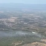 Manisa'da orman yangını